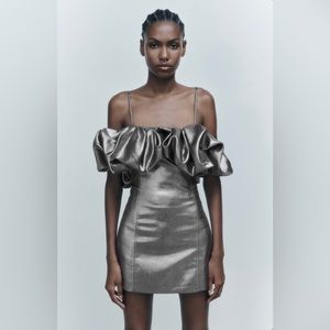 NWT Zara Voluminous Short Full Dress in Silver